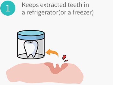 Keeps extracted teeth in a refrigerator(or a freezer)